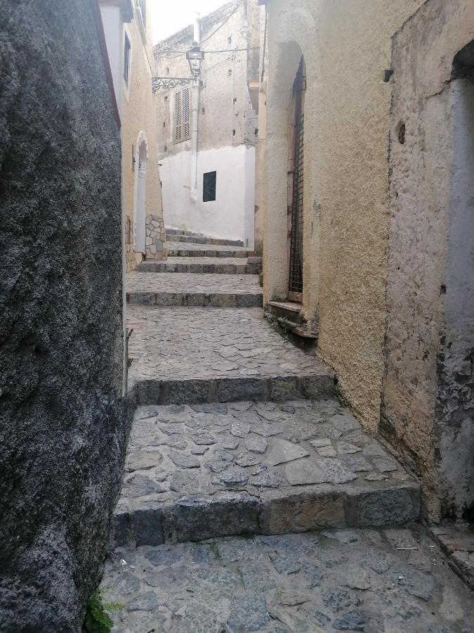 B&B Nonna Ida Scalea Εξωτερικό φωτογραφία